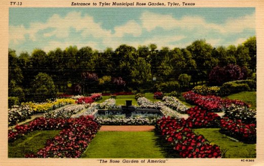 Historic postcard "Entrance to the Tyler Municipal Rose Garden, Tyler, Texas"