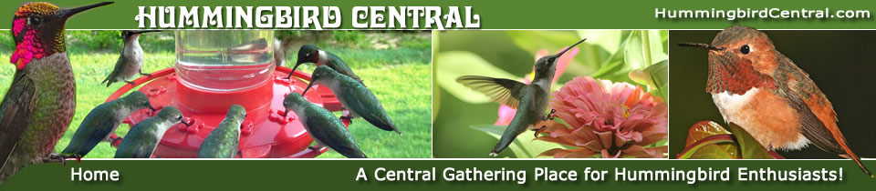 Hummingbird Central Website