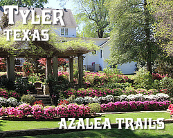 The 2024 Azalea Trail is scheduled for March 22 - April 8, 2024 in Tyler, Texas