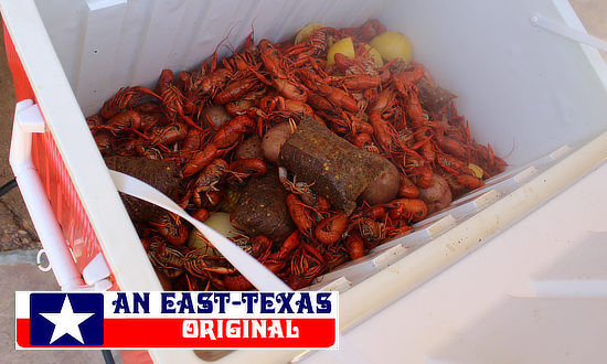 Keeping some crawfish in the cooler to keep them warm