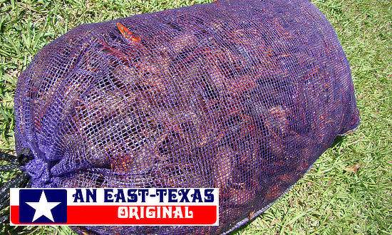 A sack of live Texas crawfish ... usually 30-40 pounds