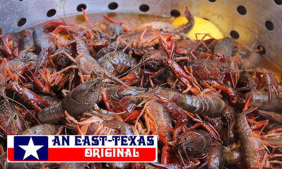 Putting the live Texas crawfish into the boiling water in the pot