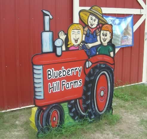 Blueberry Hill Farms, Edom Texas