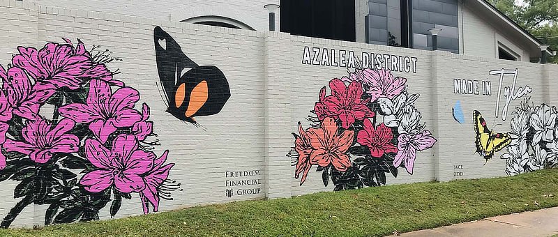The "Azalea District" Mural, at the Freedom Financial Group, 113 West Rusk Street, Tyler Texas, by Dace Kidd