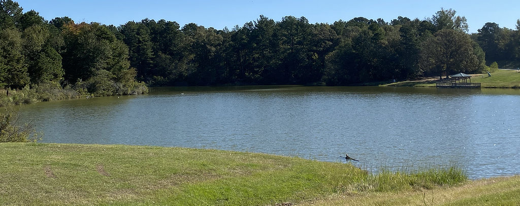 The Pond at Faulkner Park in Tyler