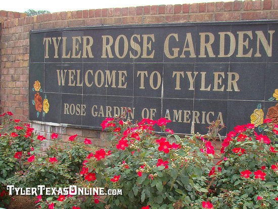 Municipal Rose Garden, Tyler, Texas