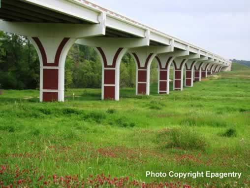 Overpass on Toll Loop 49 near Old Jacksonville Highway with wildflowers in bloom