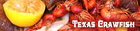 Texas crawfish boil recipe