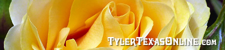Take a tour of Tyler Texas