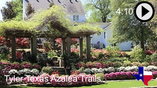 Enjoy a tour of the Tyler, Texas Azalea and Spring Flower Trails, on YouTube