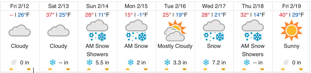Weather Forecast for Tyler Texas from February 12 to February 19, 2021 ... Tyler was predicted to have a low of Minus-1 for Monday, February 15, with a high of 15 degrees