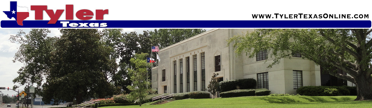 City and county government in Tyler Texas