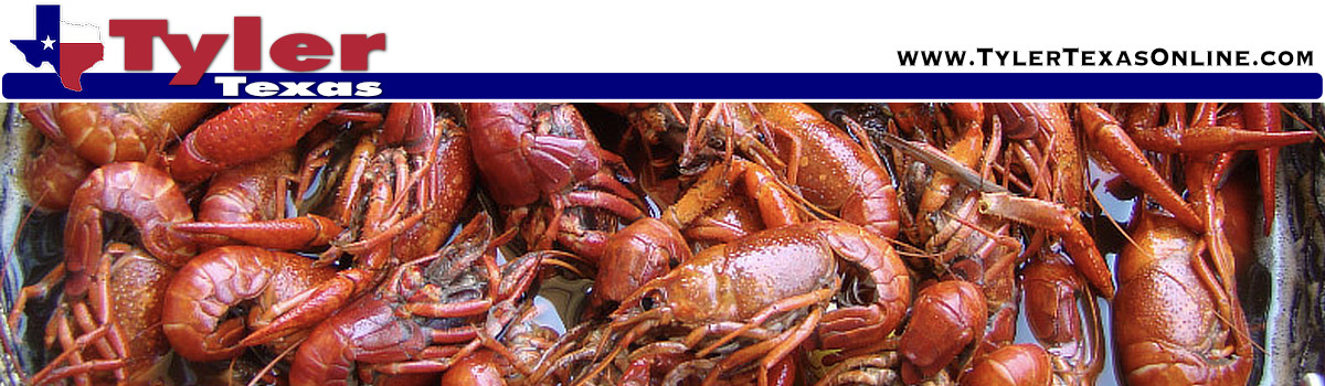 Tyler Texas crawfish outlets, markets and festivals