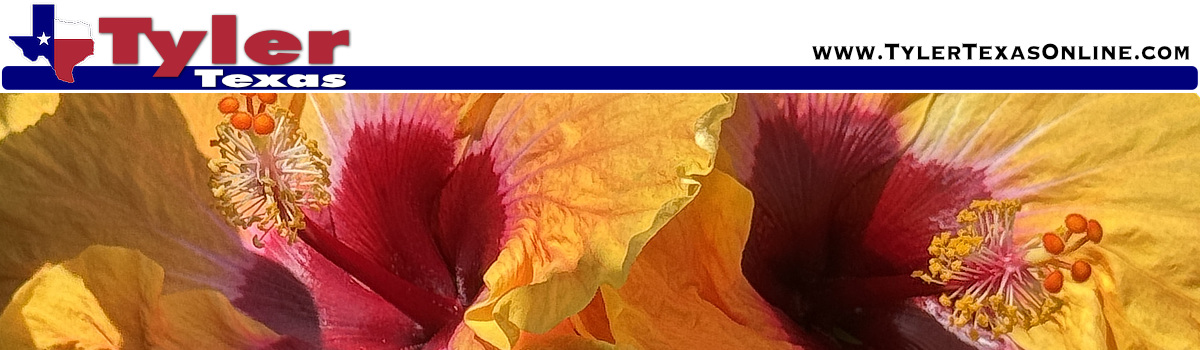 TylerTexasOnline.com