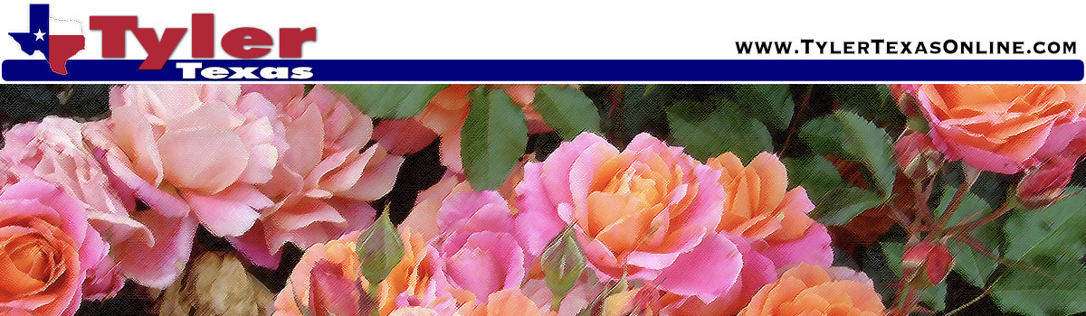 TylerTexasOnline.com Privacy Policy