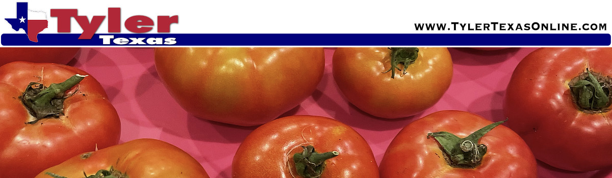 Tyler Texas Farmers Markets Tyler Texas Farmers Markets
